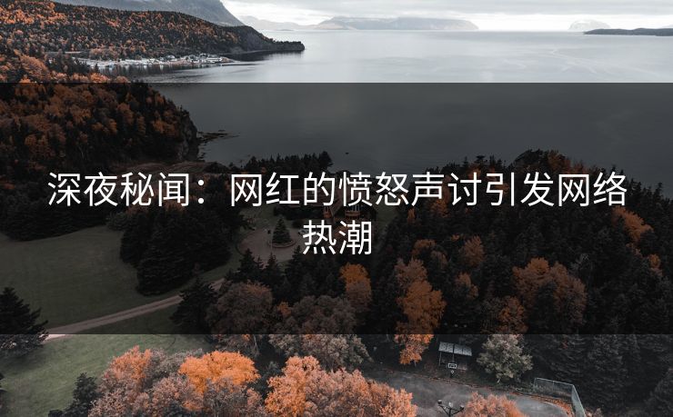 深夜秘闻：网红的愤怒声讨引发网络热潮